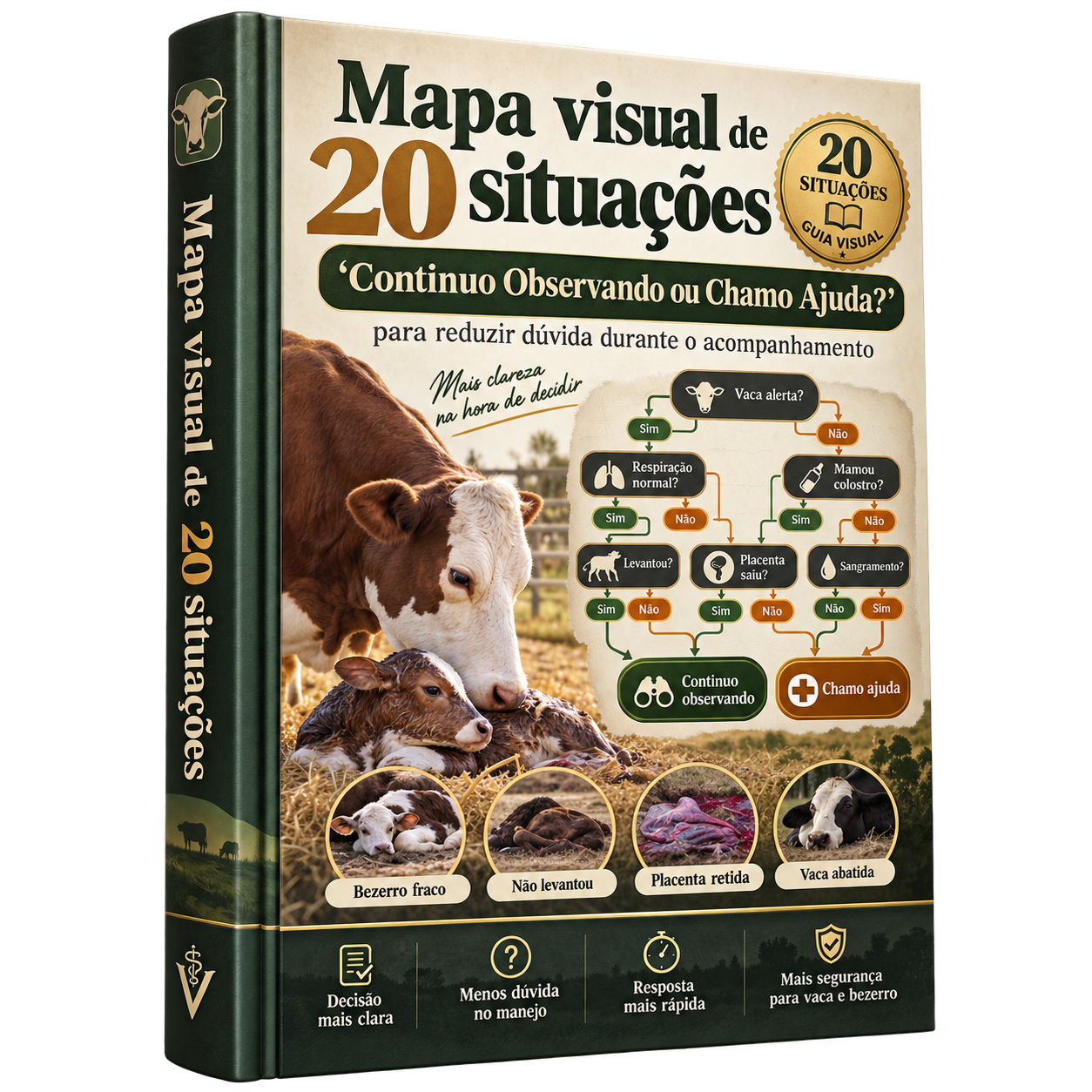 Capa do bônus 05: Mapa: Continuo Observando ou Chamo Ajuda?
