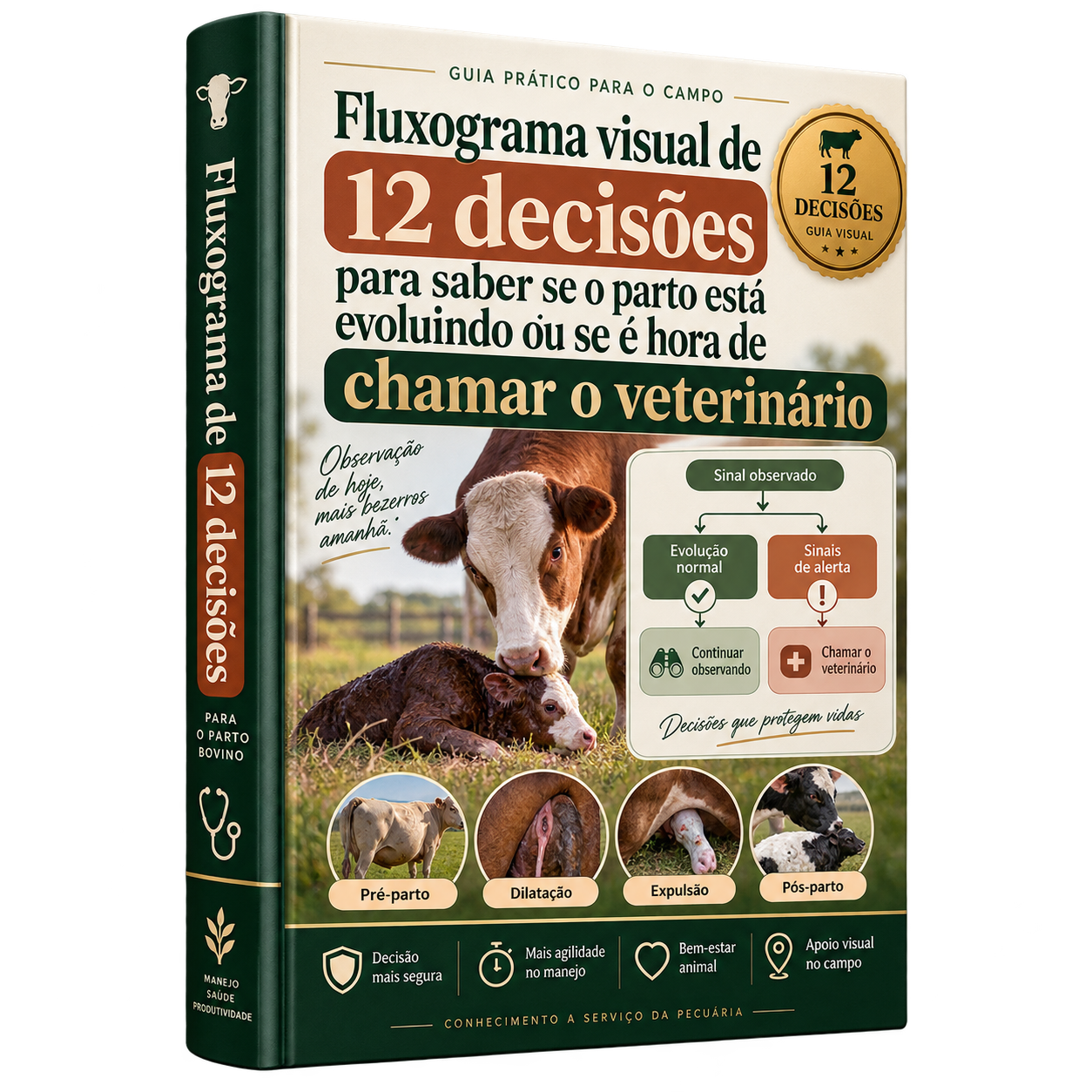 Capa do bônus 01: Fluxograma de 12 Decisões do Parto