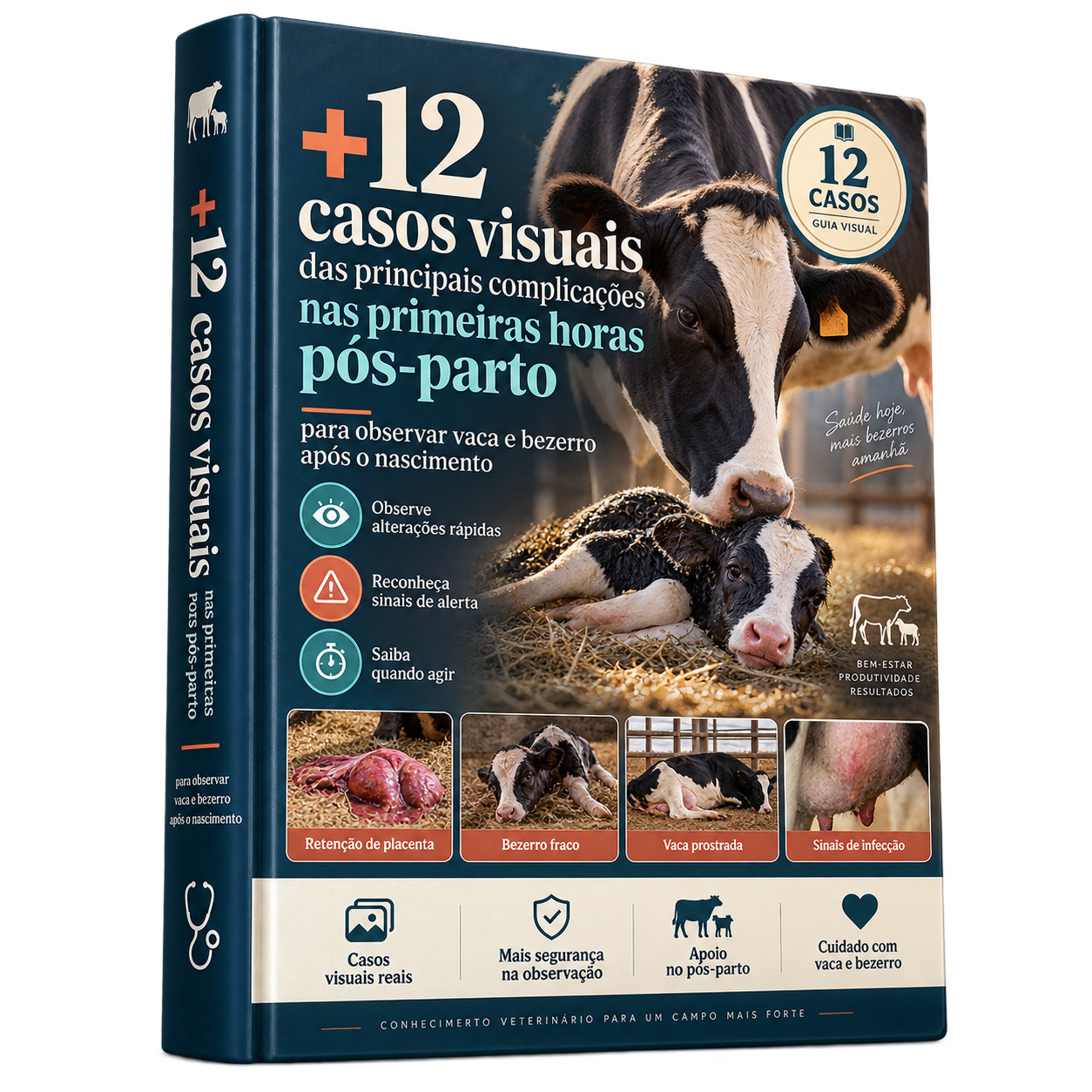 Capa do bônus 04: +12 Casos de Complicações no Pós-Parto